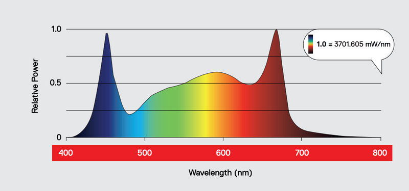 Maxibright Daylight 1030w Pro LED