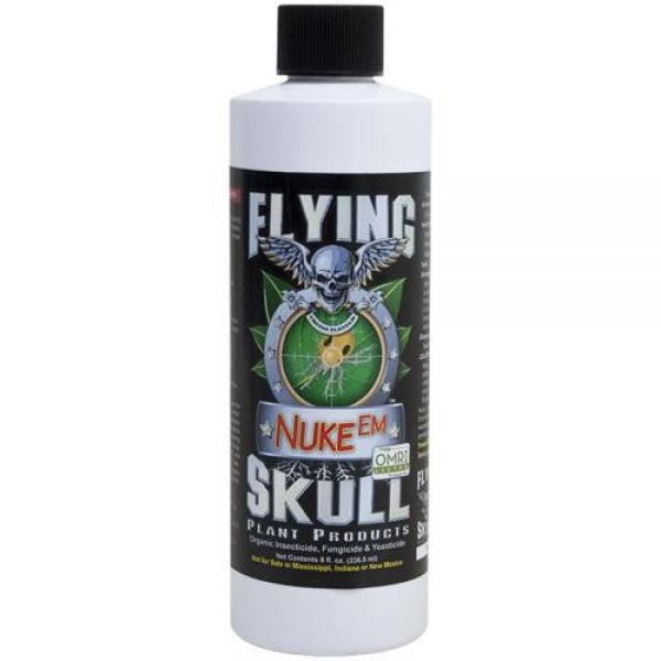Flying Skull -Nuke Em