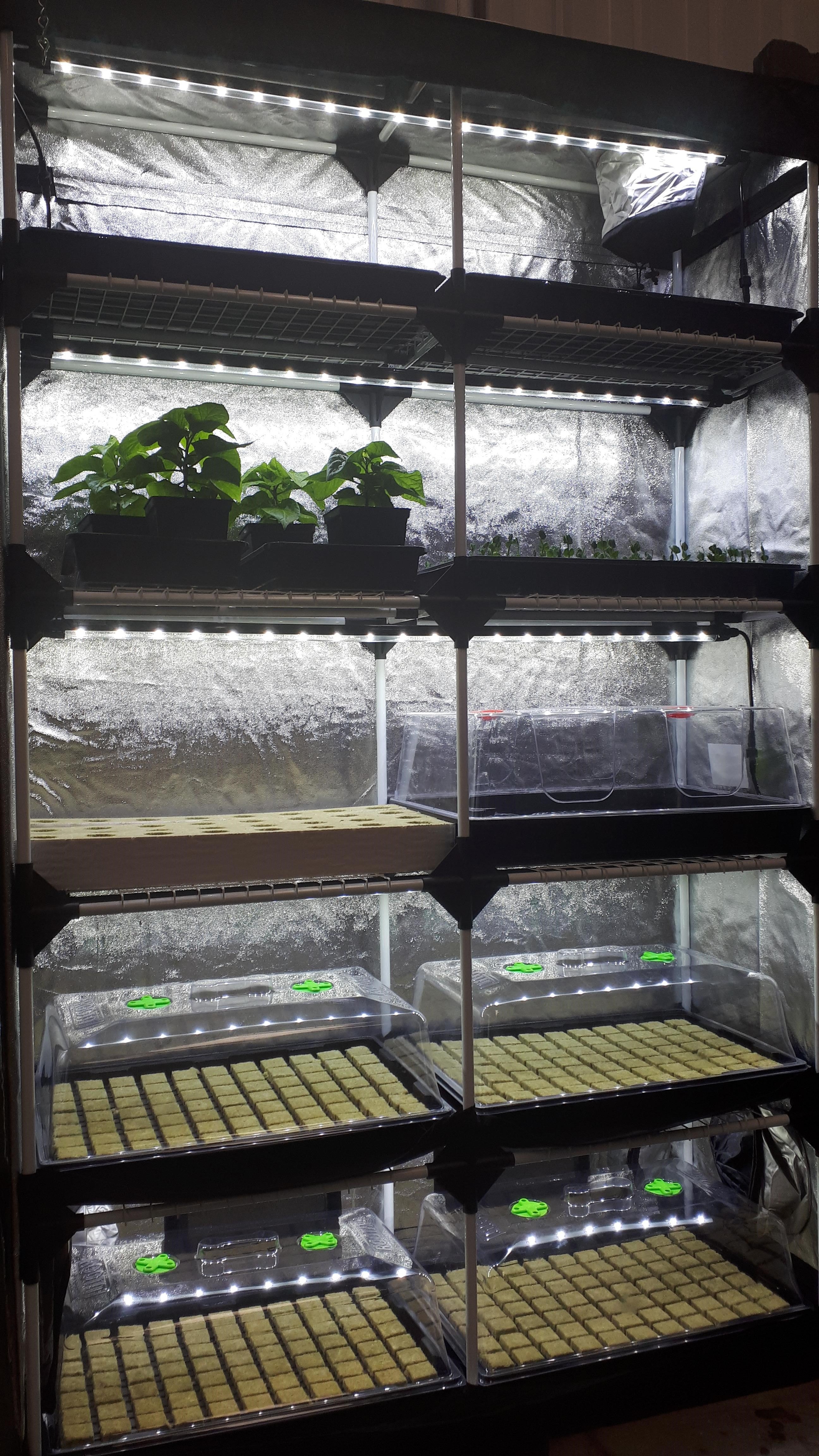 propagation tent Garden HighPro Probox Propagator