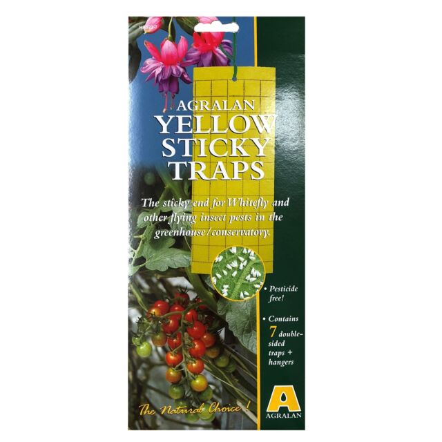 Yellow Sticky Trap Pack of 7