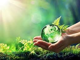 Environment is Everything -perfect your grow room environment now!