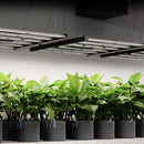 AC Infinity Ionframe EVO8 730w LED Grow Light