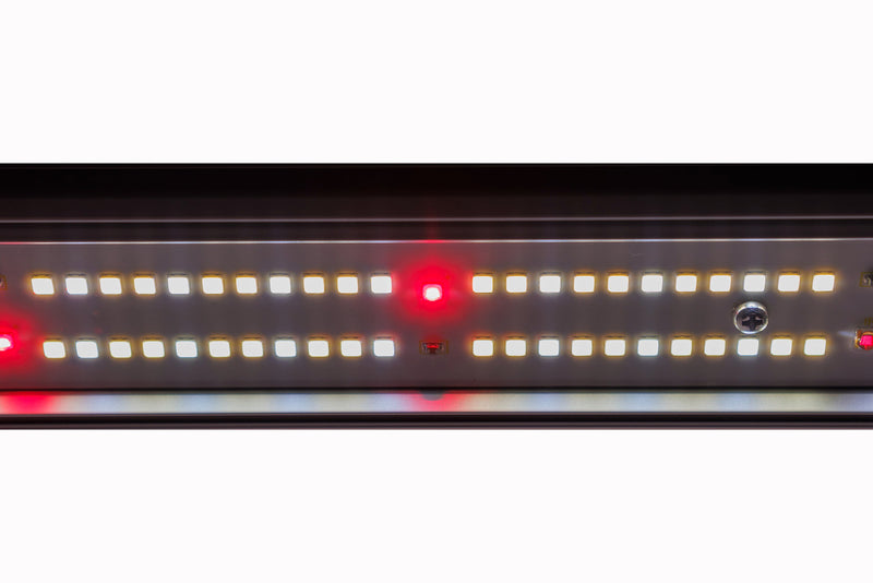 Spectro-Tech 480w LED