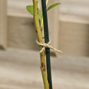 Natural Jute garden twine 150gsm 100m