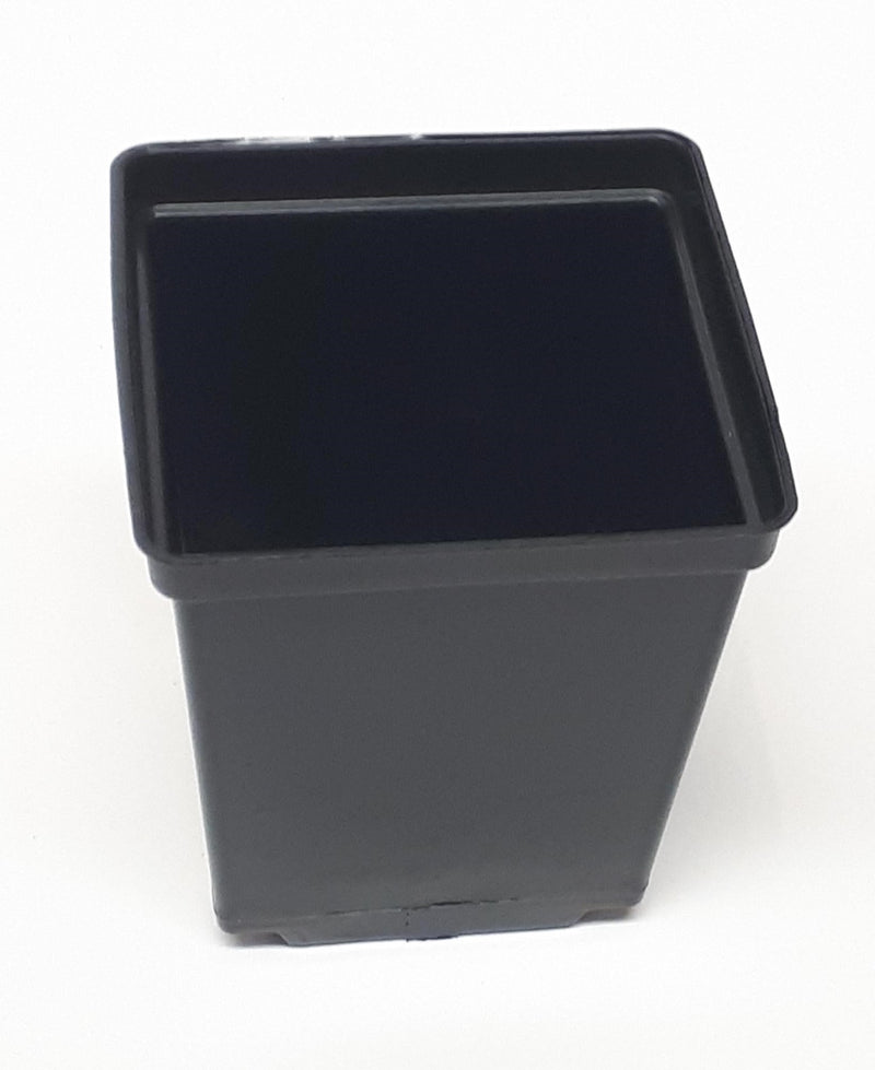 Square Pot