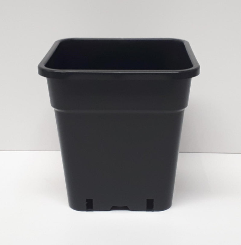 Square Pot