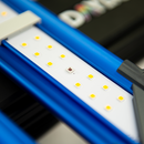 Maxibright Daylight 300w Pro LED 2.5 u/mol