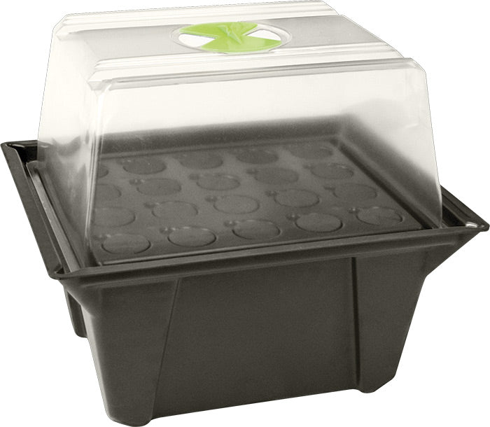 Aeroponic Propagator