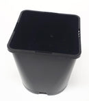 Square Pot