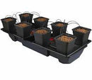 Wilma 8 Pot System