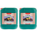 Canna Coco A&B