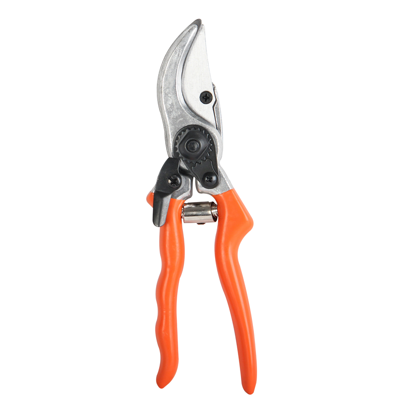 Secateurs