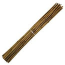 Bamboo cane x20 (150cm)