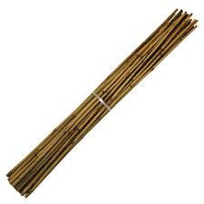 Bamboo cane x20 (150cm)