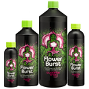 Buddhas Tree Flower Burst