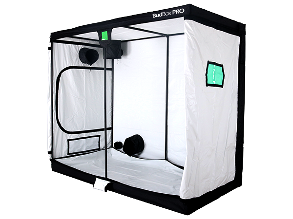 Budbox Pro XXL Tent Kit