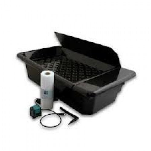 NFT Kit GT