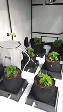 6 Pot XL Hand Water PRO Kit