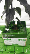 16 Pot FloraFlex Big Mama Drip Kit - high pressure