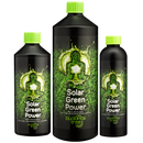 Buddhas Tree Solar Green Power