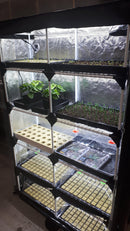 Garden HighPro Probox Propagator