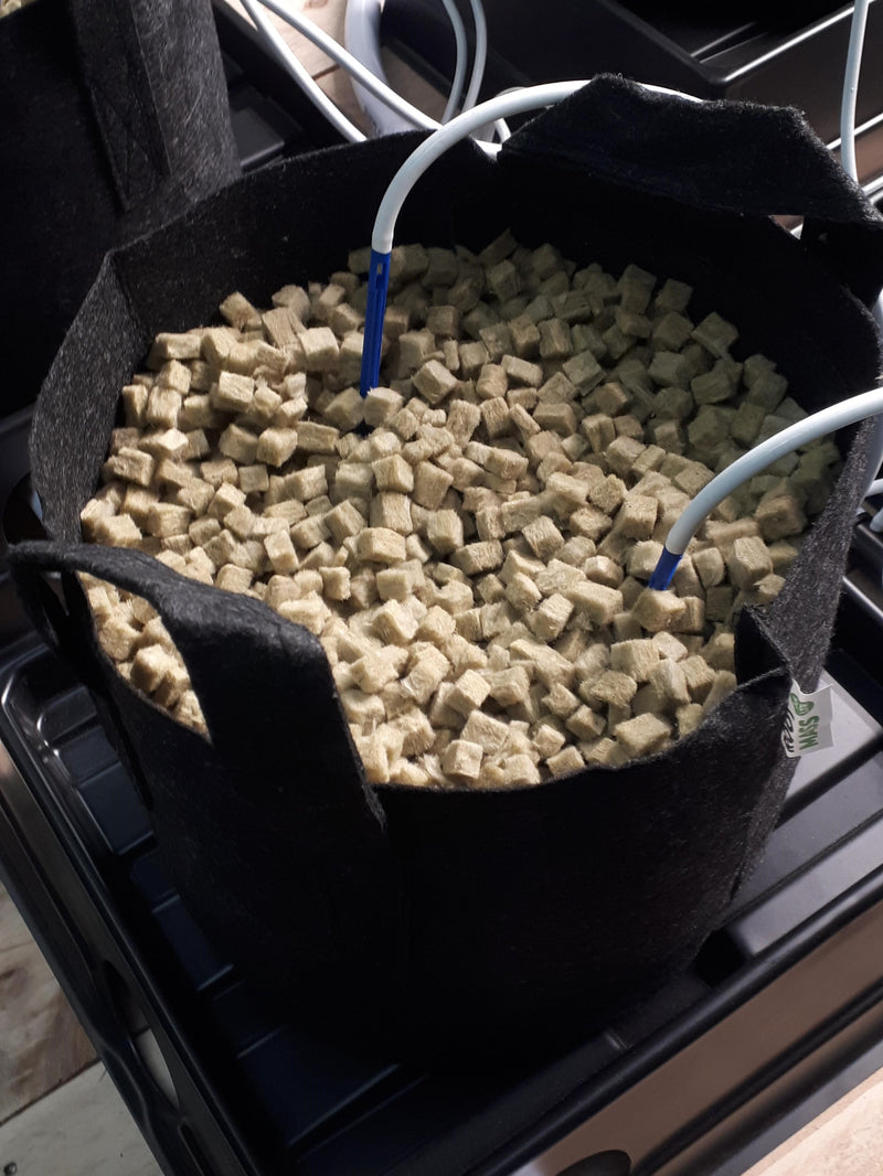 Cell Max Grow Cubes