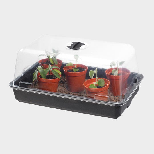 Stewart Heated Propagator