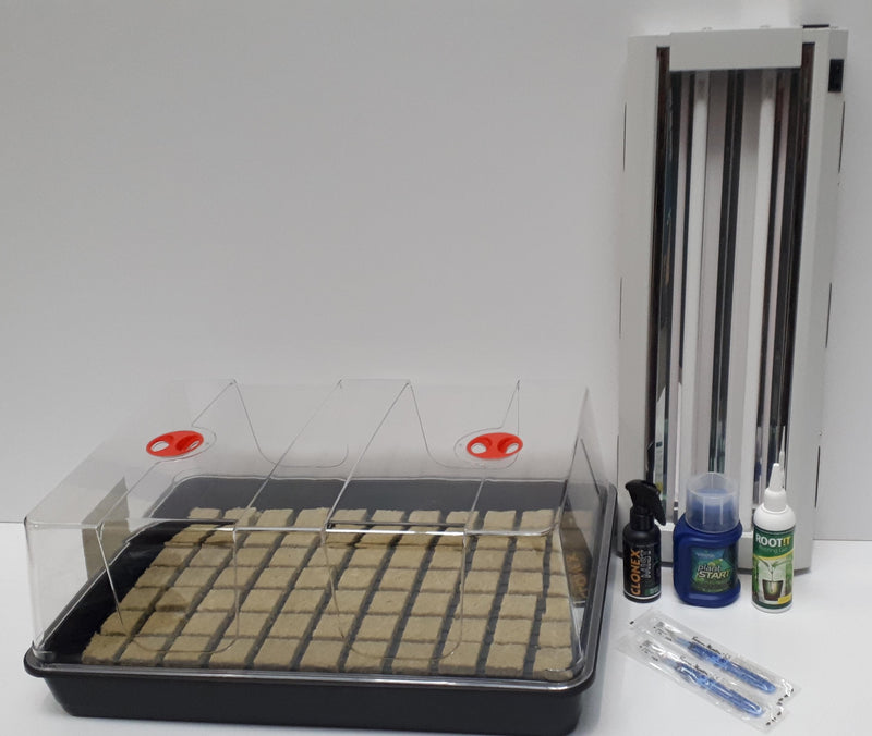 Large Propagation Kit with T5 Lightwave - Rockwool