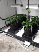 36 Pot XL Hand Water PRO Kit