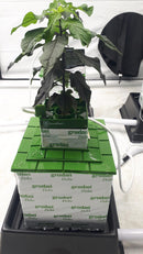 24 Pot FloraFlex Big Mama Drip Kit - high pressure