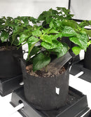 18 Pot XL Hand Water PRO Kit